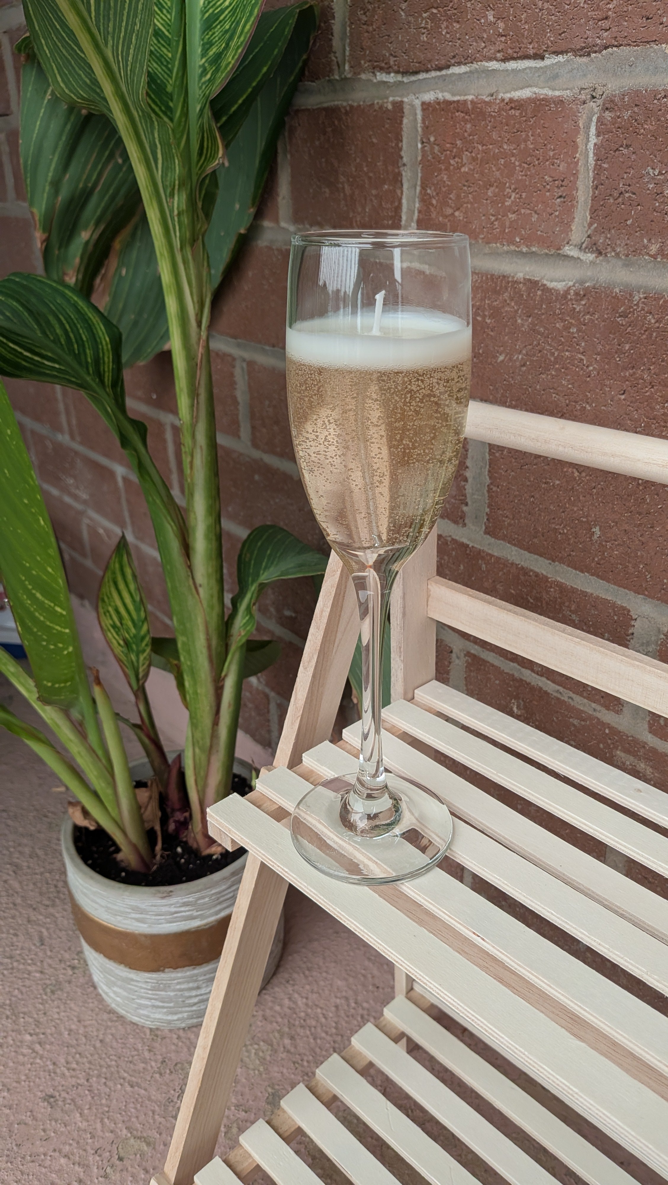 Champagne Rose