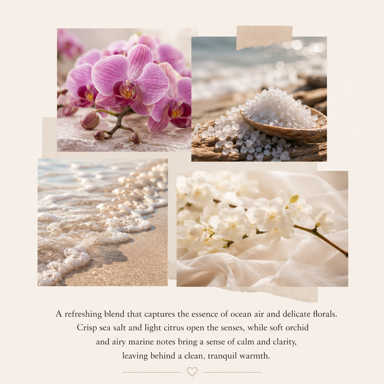 Sea Salt & Orchid